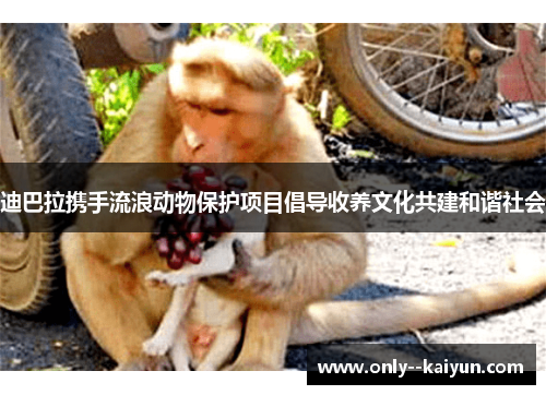 迪巴拉携手流浪动物保护项目倡导收养文化共建和谐社会 迪巴拉携手流浪动物保护项目倡导收养文化共建和谐社会
